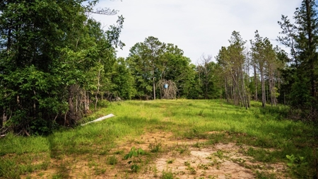 586 Hunting Land in the Catahoula Hills with Creek - image 32