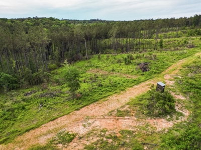 586 Hunting Land in the Catahoula Hills with Creek - image 17