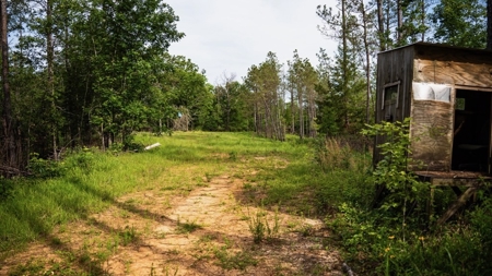 586 Hunting Land in the Catahoula Hills with Creek - image 31