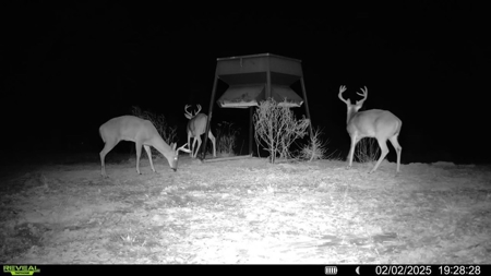 586 Hunting Land in the Catahoula Hills with Creek - image 3
