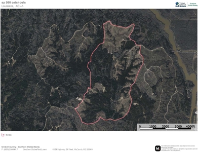 586 Hunting Land in the Catahoula Hills with Creek - image 49