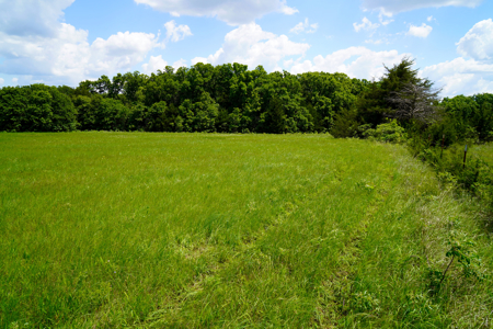NO RESERVE REAL ESTATE AUCTION 160 Acres Agra, OK - image 24