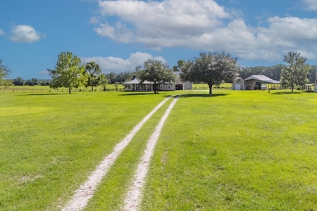 Country Home for Sale in Trenton FL! - image 6