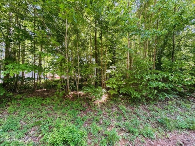 Land For Sale In Hertford North Carolina - image 4