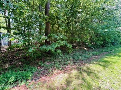 Land For Sale In Hertford North Carolina - image 3