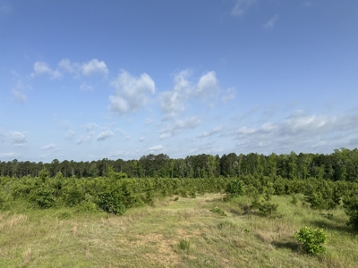 121.46 Acres of Land for Sale in Hot Spring County, Arkansas - image 2