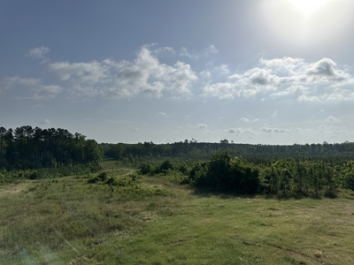 121.46 Acres of Land for Sale in Hot Spring County, Arkansas - image 3