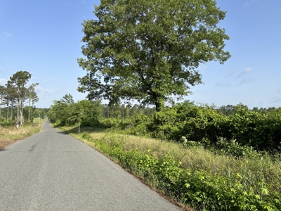 121.46 Acres of Land for Sale in Hot Spring County, Arkansas - image 1
