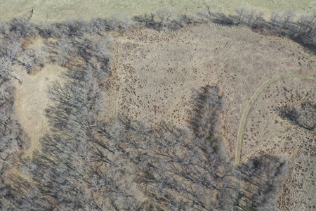 Hunting/Investment farm for sale in Schuyler Co, MO-100 acres - image 9