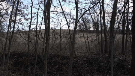 Hunting/Investment farm for sale in Schuyler Co, MO-100 acres - image 3