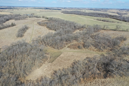 Hunting/Investment farm for sale in Schuyler Co, MO-100 acres - image 5