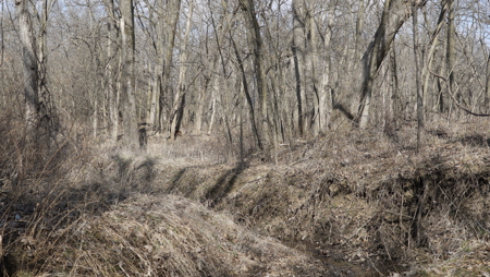 Hunting/Investment farm for sale in Schuyler Co, MO-100 acres - image 19