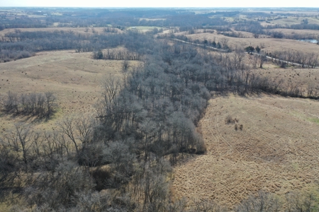 Hunting/Investment farm for sale in Schuyler Co, MO-100 acres - image 6