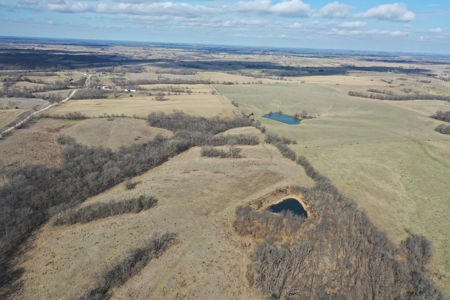 Hunting/Investment farm for sale in Schuyler Co, MO-100 acres - image 4