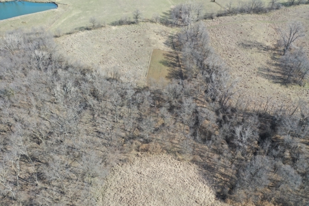 Hunting/Investment farm for sale in Schuyler Co, MO-100 acres - image 7