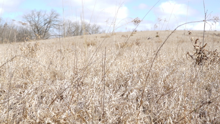 Hunting/Investment farm for sale in Schuyler Co, MO-100 acres - image 18