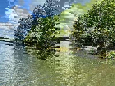 Lake Front Property for sale Izard County - image 5