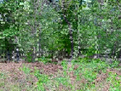 Lake Front Property for sale Izard County - image 6