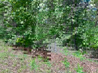 Lake Front Property for sale Izard County - image 7