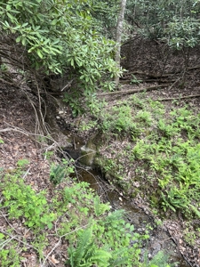 Land for Sale in Floyd County VA - image 9
