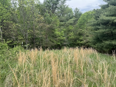 Land for Sale in Floyd County VA - image 6
