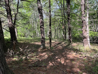 Land for Sale in Floyd County VA - image 22