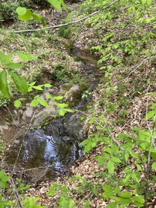 Land for Sale in Floyd County VA - image 31