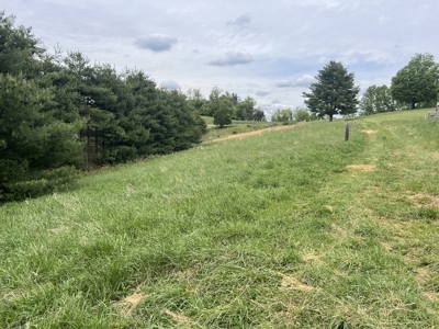 Land for Sale in Floyd County VA - image 4