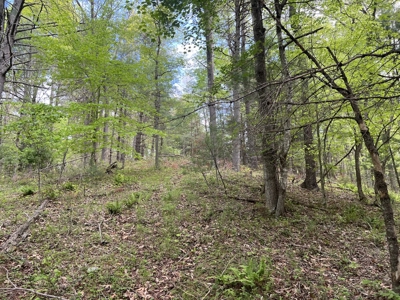 Land for Sale in Floyd County VA - image 27