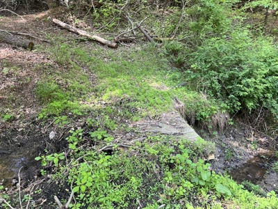 Land for Sale in Floyd County VA - image 20
