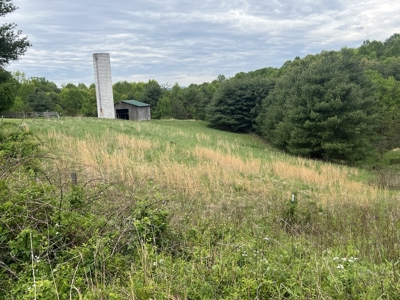 Land for Sale in Floyd County VA - image 16