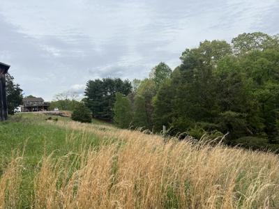 Land for Sale in Floyd County VA - image 10