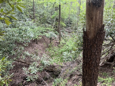 Land for Sale in Floyd County VA - image 8