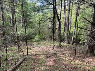 Land for Sale in Floyd County VA - image 26