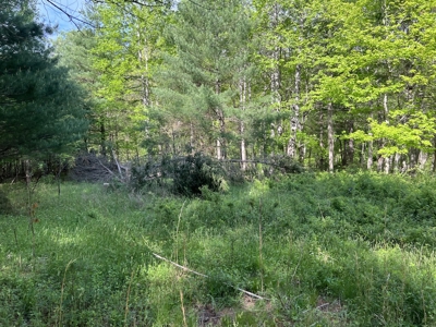 Land for Sale in Floyd County VA - image 24