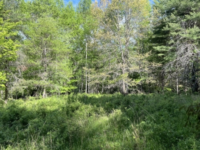 Land for Sale in Floyd County VA - image 25