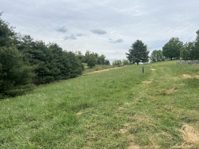 Land for Sale in Floyd County VA - image 13