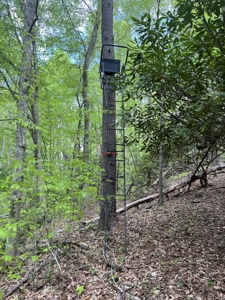Land for Sale in Floyd County VA - image 29