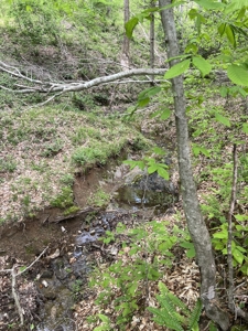 Land for Sale in Floyd County VA - image 30