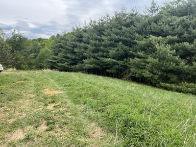 Land for Sale in Floyd County VA - image 5