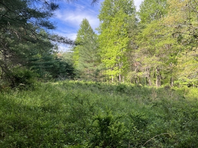 Land for Sale in Floyd County VA - image 23