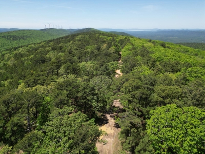 Mountain Land for Sale in Albion, Oklahoma - image 9