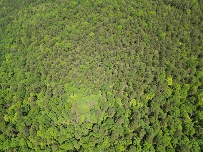 Mountain Land for Sale in Albion, Oklahoma - image 14