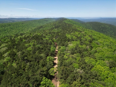 Mountain Land for Sale in Albion, Oklahoma - image 2