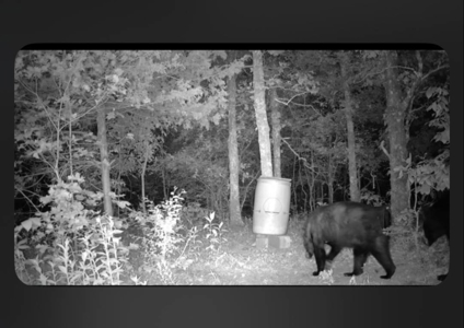 Mountain Land for Sale in Albion, Oklahoma - image 19