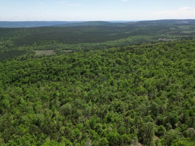 Mountain Land for Sale in Albion, Oklahoma - image 18