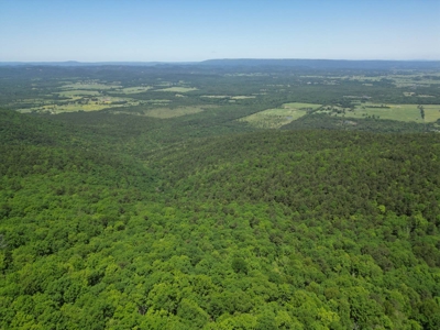 Mountain Land for Sale in Albion, Oklahoma - image 13