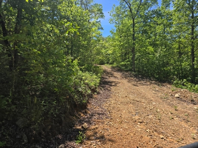 Mountain Land for Sale in Albion, Oklahoma - image 7