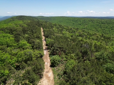 Mountain Land for Sale in Albion, Oklahoma - image 3