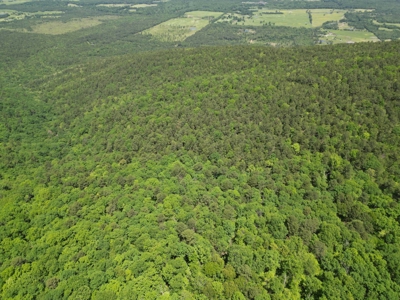 Mountain Land for Sale in Albion, Oklahoma - image 5